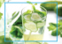 CUCUMBER LIME MINT WATER